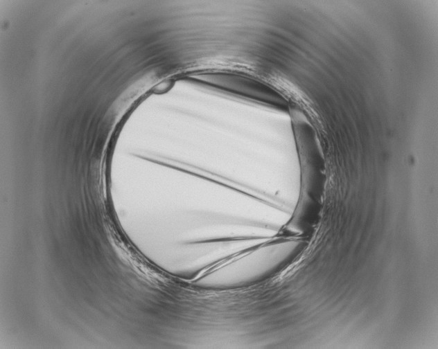 X0000067000892200604241401