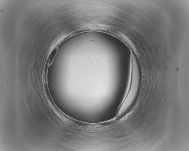 X0000067000893200604241401