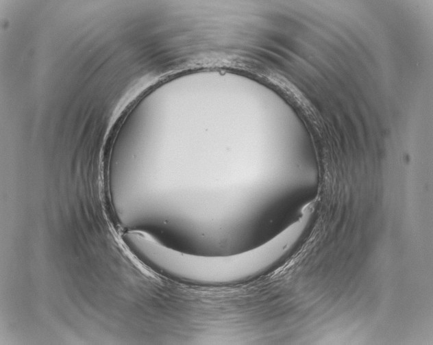 X0000067000894200604241401