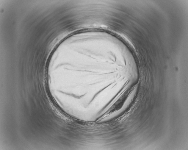 X0000067000895200604241401