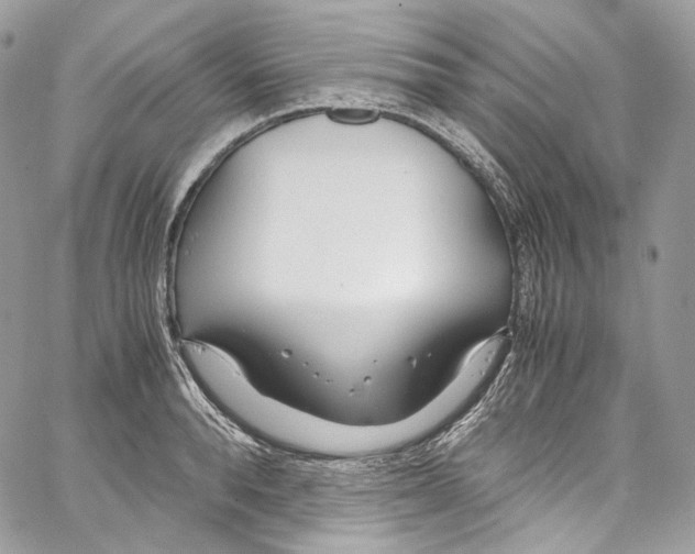 X0000067000896200604241401