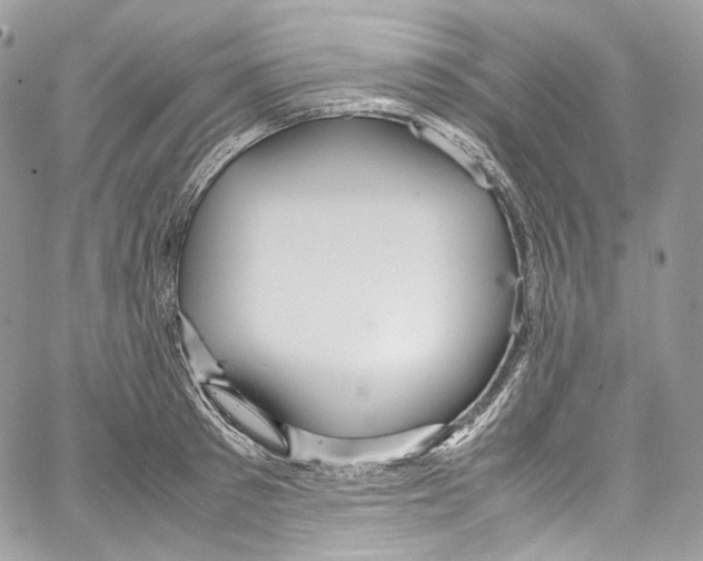 X0000067000897200604241401