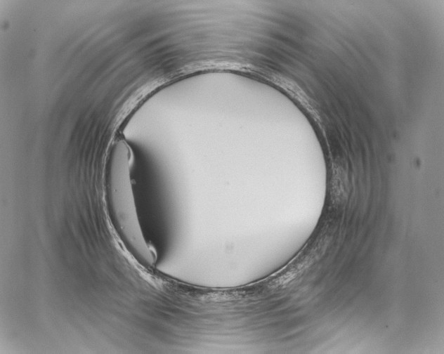 X0000067000898200604241401