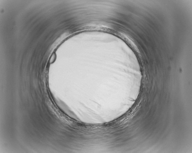 X0000067000899200604241401