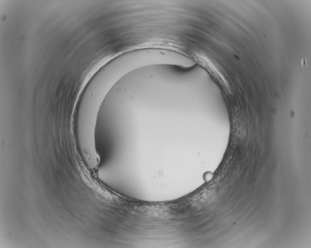 X0000067000900200604241401