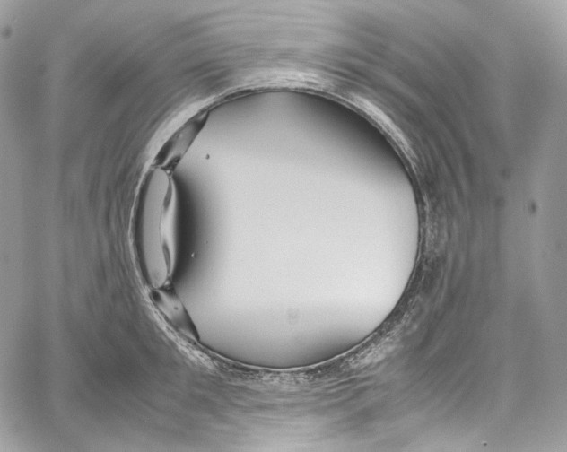 X0000067000901200604241401