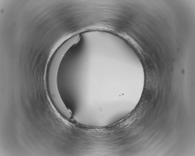 X0000067000902200604241401