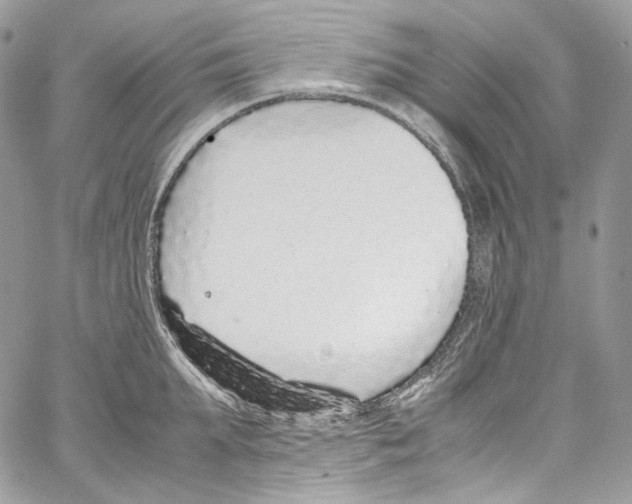 X0000067000903200604241401