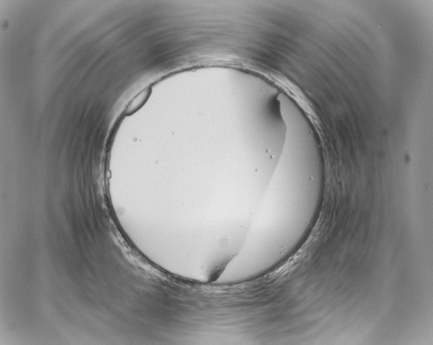 X0000067000904200604241401