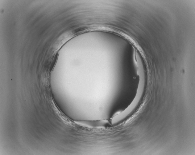 X0000067000905200604241401