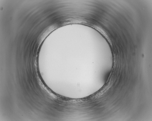 X0000067000906200604241401