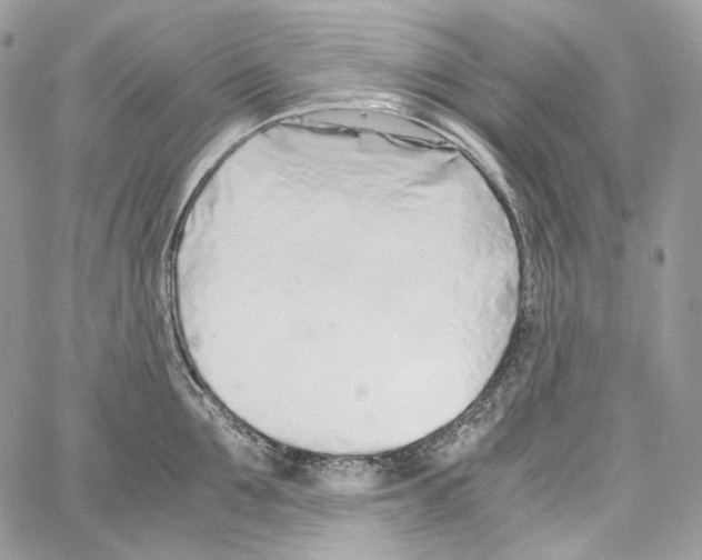 X0000067000907200604241401