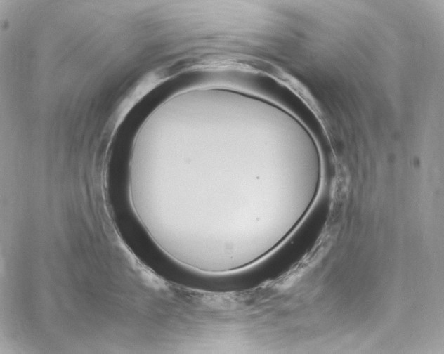 X0000067000909200604241401