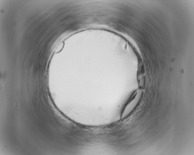 X0000067000911200604241401