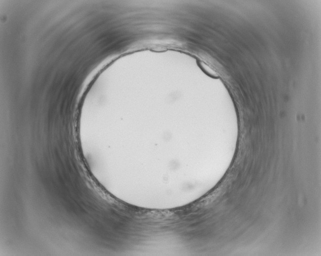 X0000067000912200604241401