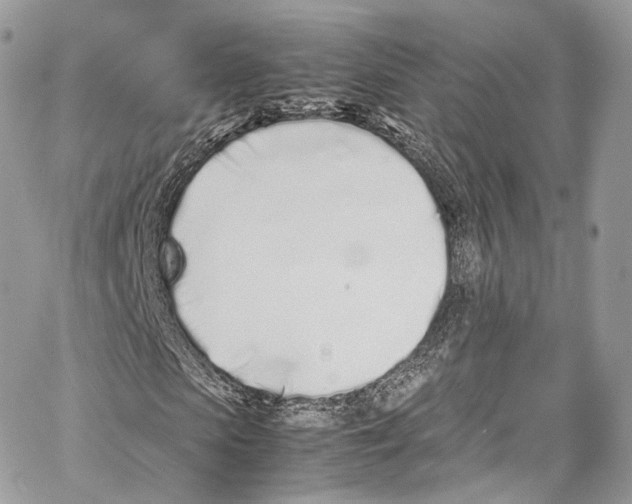 X0000067000913200604241400