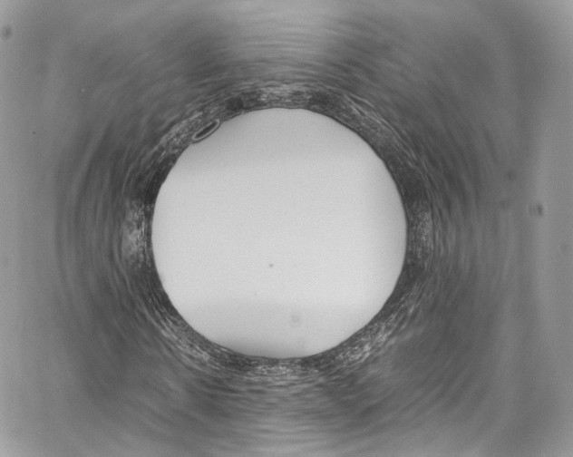 X0000067000914200604241400