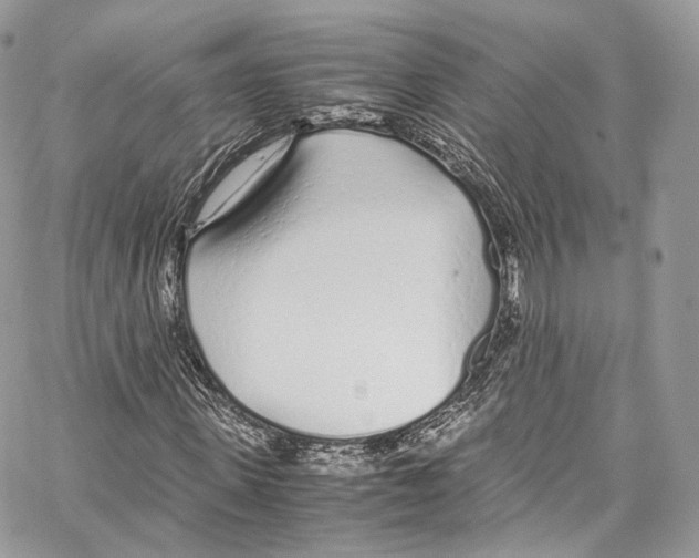 X0000067000915200604241400