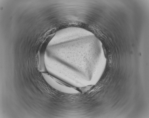 X0000067000916200604241400