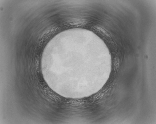 X0000067000917200604241400