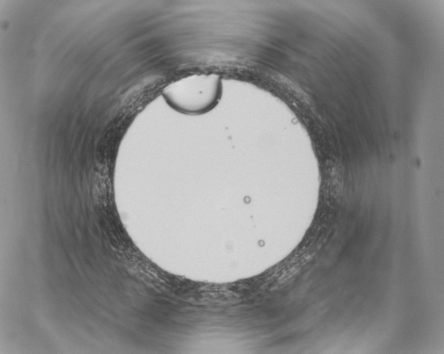 X0000067000918200604241400