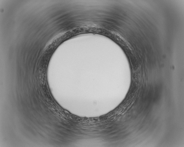 X0000067000919200604241400