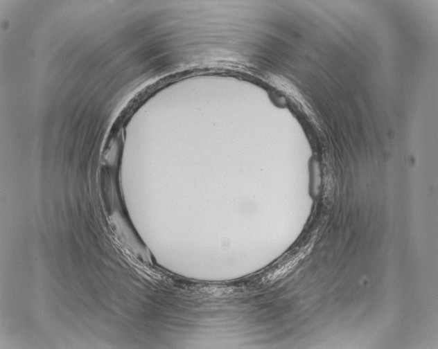 X0000067000924200604241400