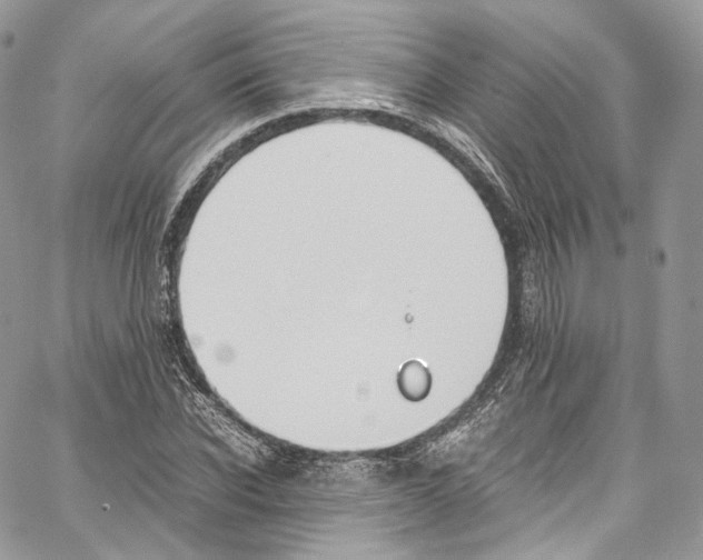 X0000067000926200604241400