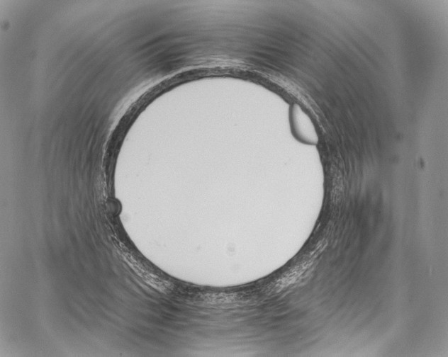 X0000067000927200604241400