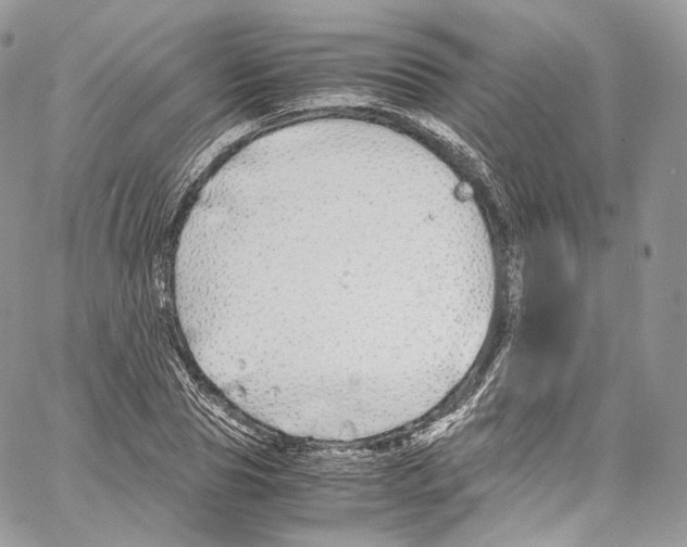 X0000067000929200604241400