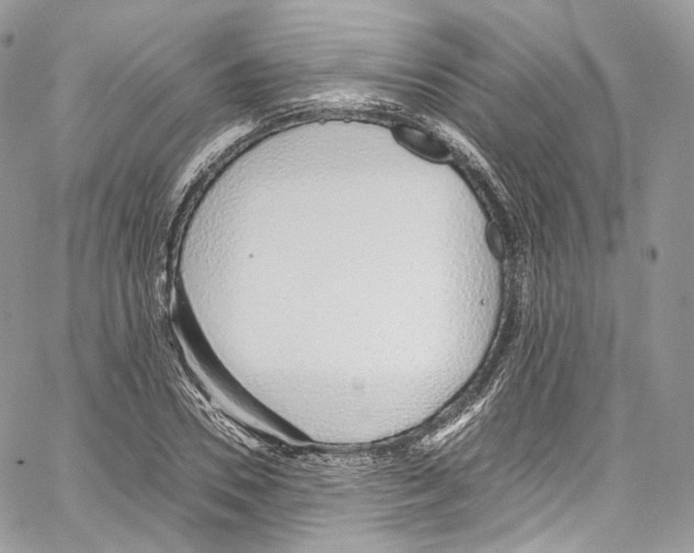 X0000067000930200604241400