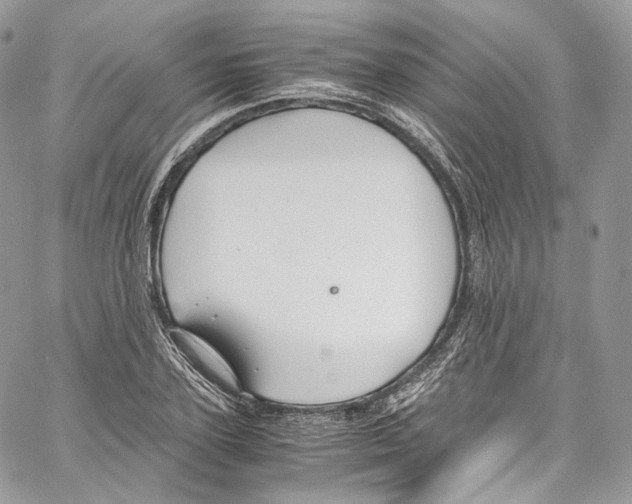 X0000067000931200604241400