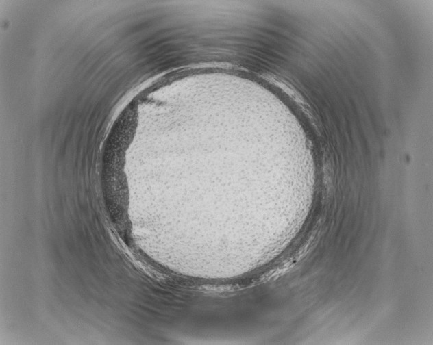 X0000067000933200604241400