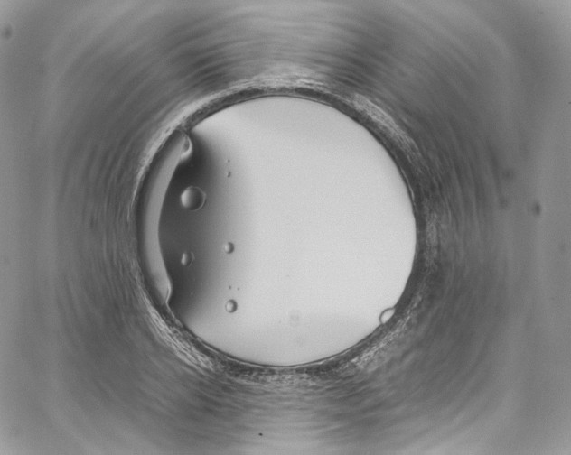 X0000067000934200604241400