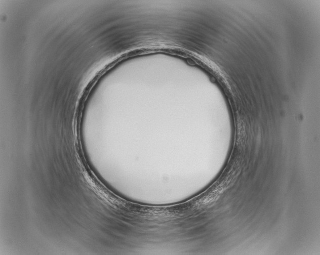 X0000067000935200604241400