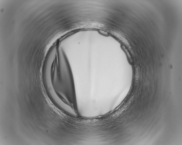 X0000067000936200604241400