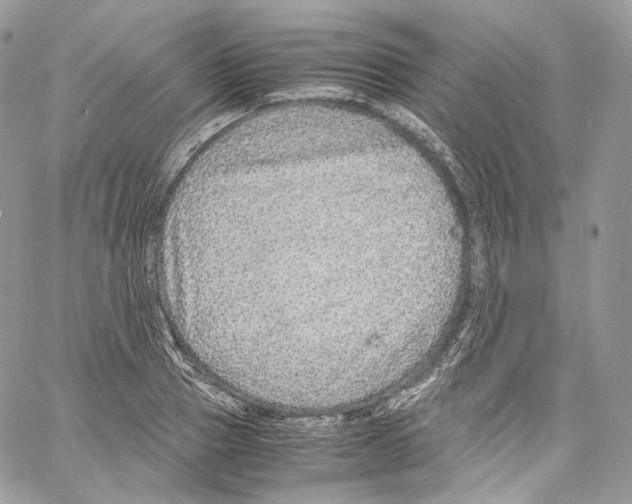 X0000067000937200604241400