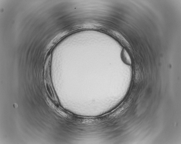 X0000067000938200604241400