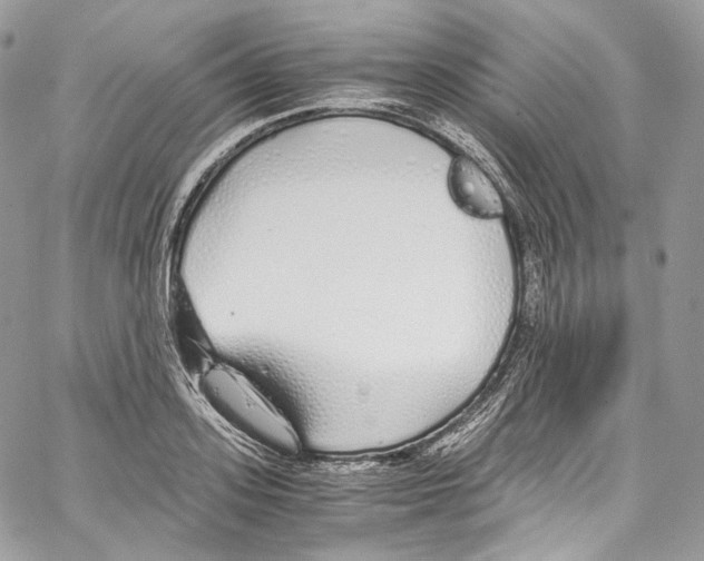 X0000067000939200604241400