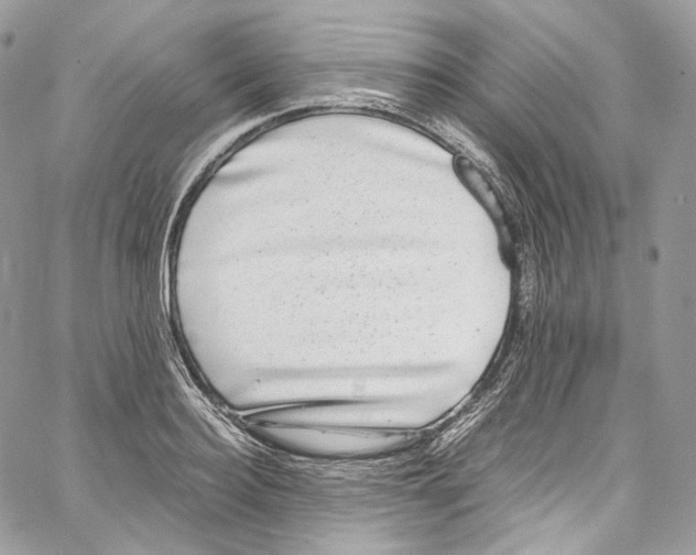 X0000067000940200604241400