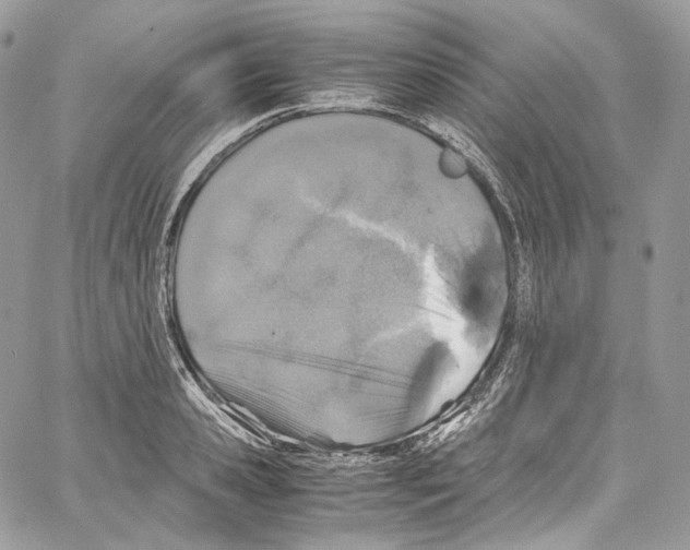 X0000067000941200604241401