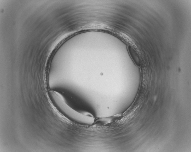 X0000067000942200604241401