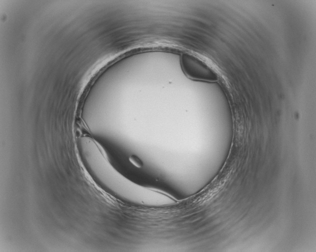 X0000067000943200604241401