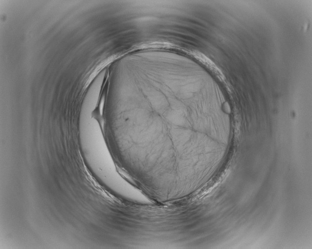 X0000067000945200604241401