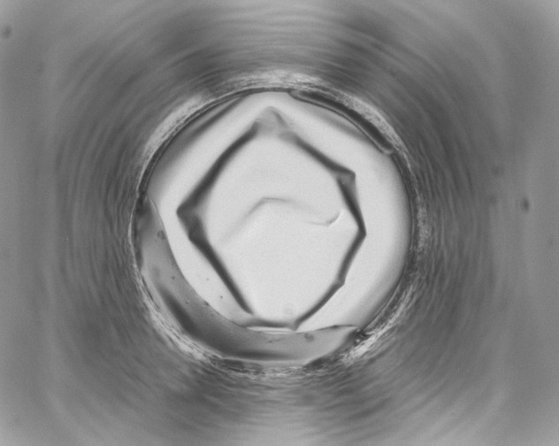 X0000067000946200604241401