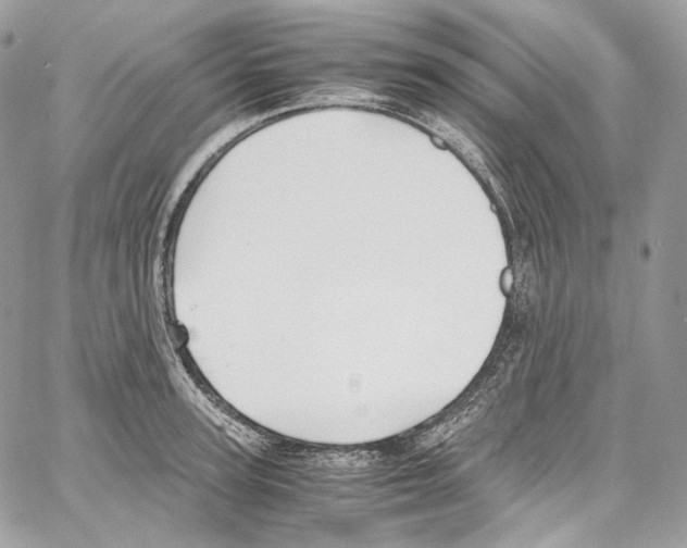 X0000067000947200604241401