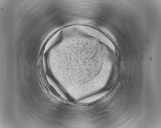 X0000067000948200604241401