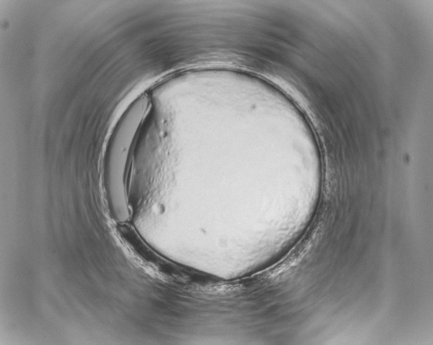 X0000067000949200604241401