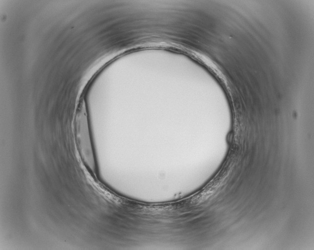 X0000067000951200604241401