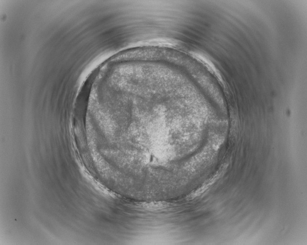 X0000067000952200604241401